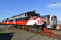 Click Here to see the photo!