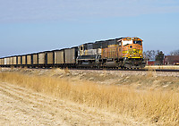 Click Here to see the photo!