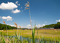 Click Here to see the photo!