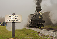 Click Here to see the photo!