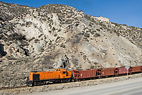 Click Here to see the photo!