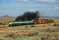 Click Here to see the photo!