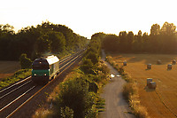 Click Here to see the photo!