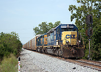 Click Here to see the photo!