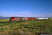 Click Here to see the photo!