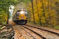 Click Here to see the photo!