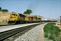 Click Here to see the photo!