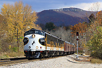 Click Here to see the photo!