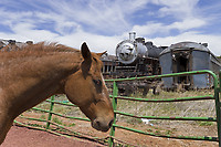 Click Here to see the photo!