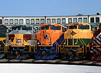 Click Here to see the photo!