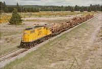 Click Here to see the photo!