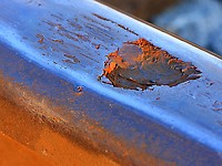 Click Here to see the photo!