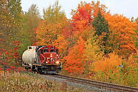 Click Here to see the photo!