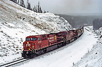 Click Here to see the photo!