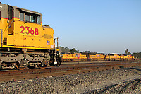 Click Here to see the photo!