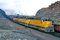 Click Here to see the photo!