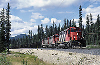 Click Here to see the photo!