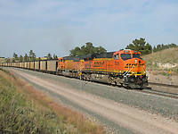 Click Here to see the photo!