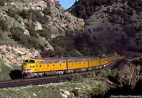 Click Here to see the photo!