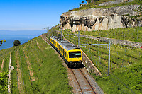 Click Here to see the photo!