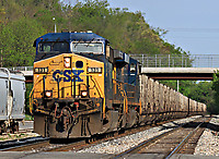 Click Here to see the photo!