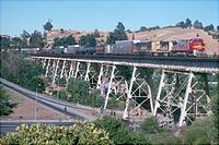 Click Here to see the photo!