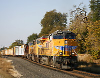 Click Here to see the photo!