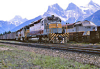 Click Here to see the photo!