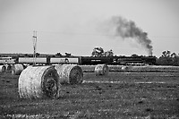 Click Here to see the photo!