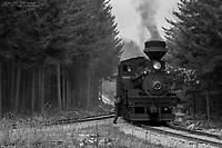 Click Here to see the photo!