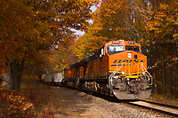 Click Here to see the photo!