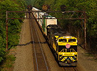 Click Here to see the photo!