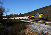 Click Here to see the photo!