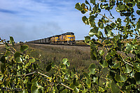 Click Here to see the photo!