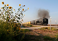Click Here to see the photo!