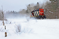 Click Here to see the photo!