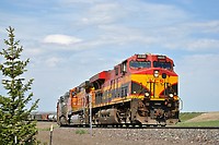 Click Here to see the photo!