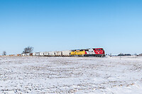 Click Here to see the photo!