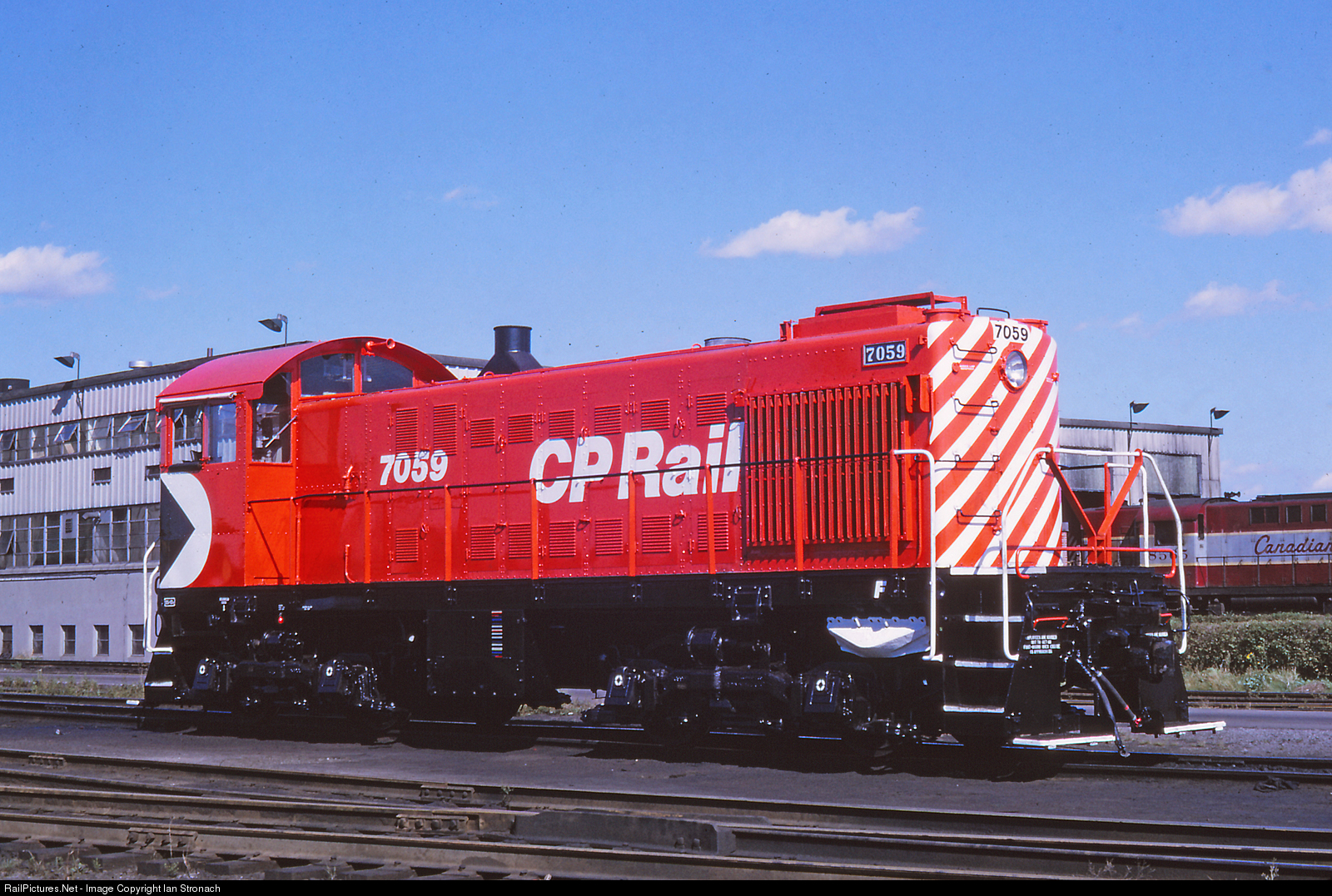 9003.1568031162.jpg
