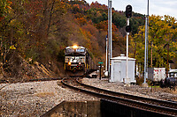 Click Here to see the photo!