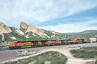 Click Here to see the photo!