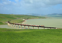 Click Here to see the photo!