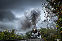 Click Here to see the photo!