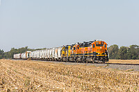 Click Here to see the photo!