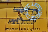 Click Here to see the photo!