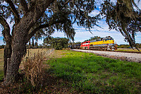 Click Here to see the photo!