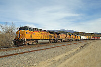 Click Here to see the photo!