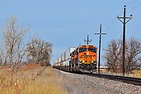 Click Here to see the photo!