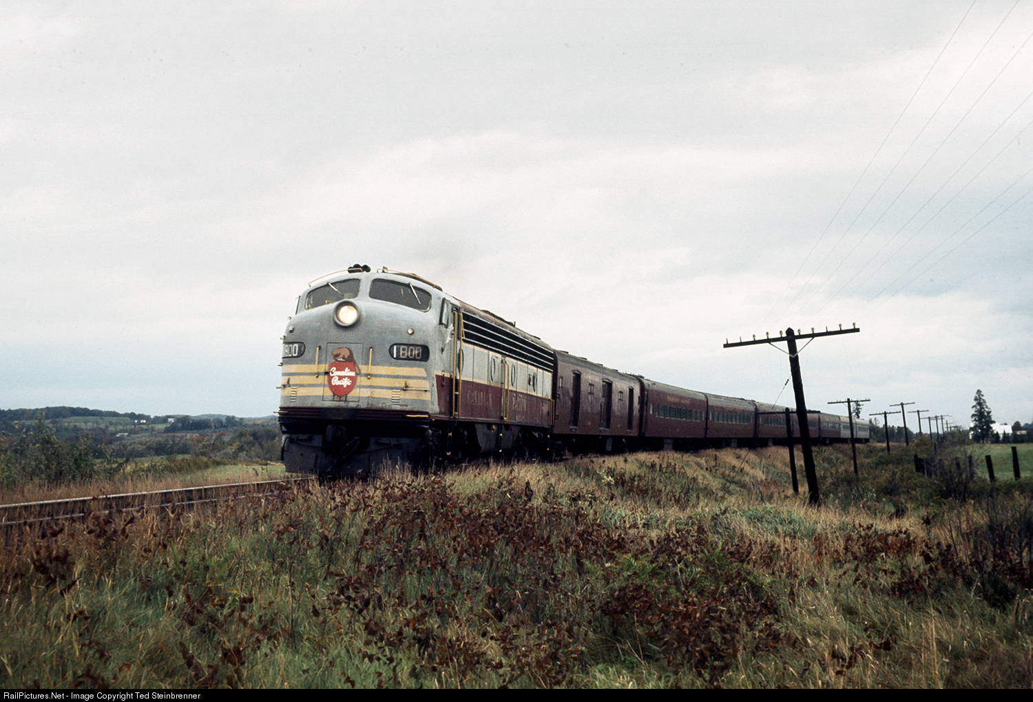 4036-1612442665-jpg