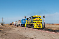 Click Here to see the photo!